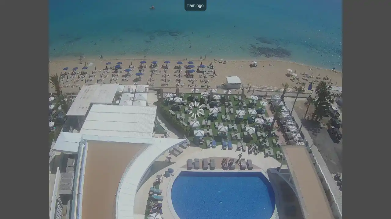 Webcam-Aufnahme aus :city — 3. Juni 2026 08:00