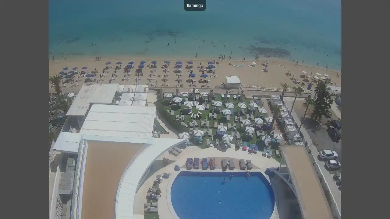 Webcam-Aufnahme aus :city — 9. Juni 2026 08:00