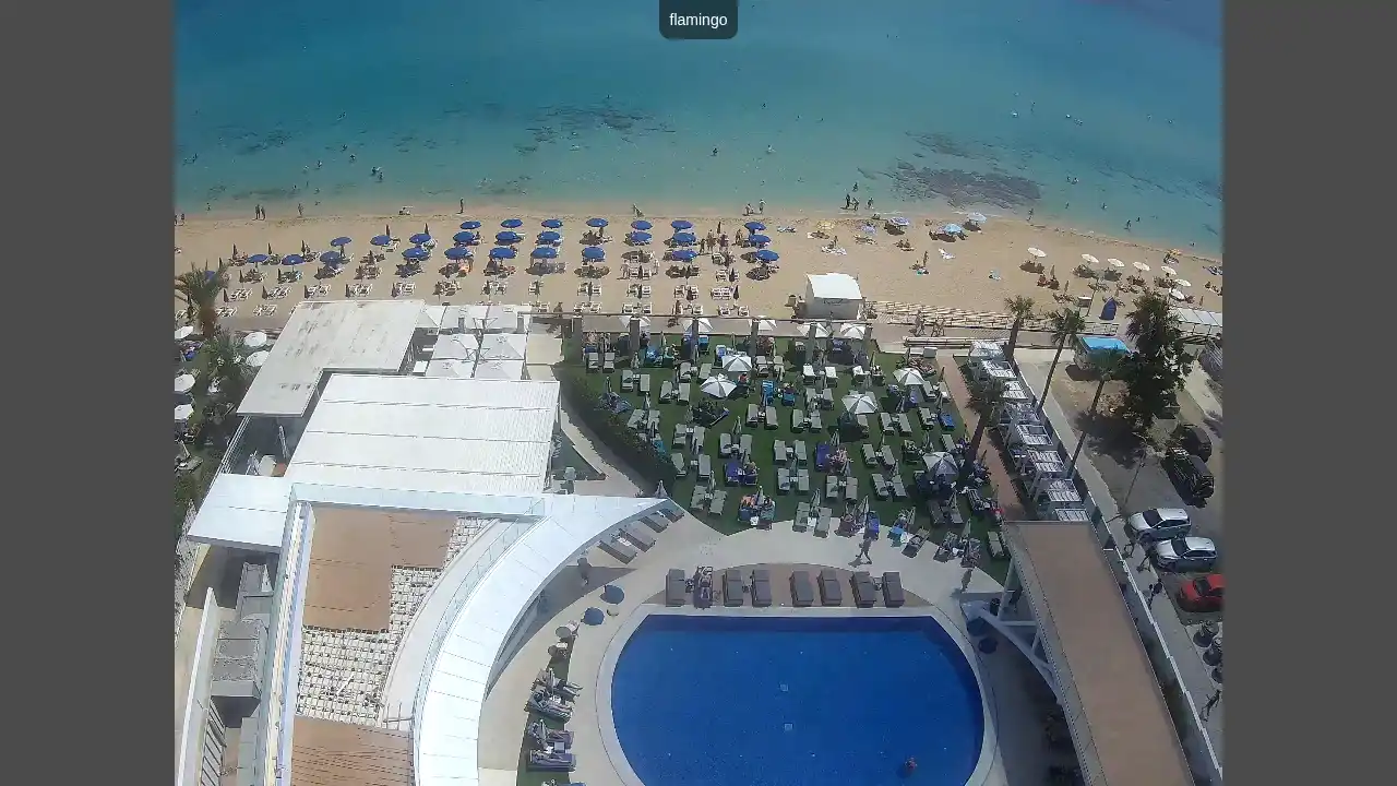 Webcam-Aufnahme aus :city — 19. Juni 2026 08:00
